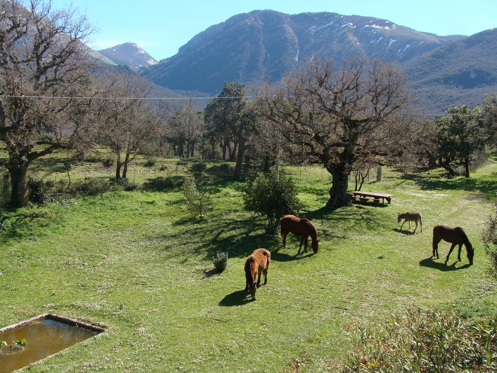 Fattoria Mongerrate Villa Isnello Екстериор снимка